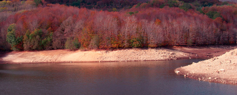 Rutas por el Montseny - Turó Morou